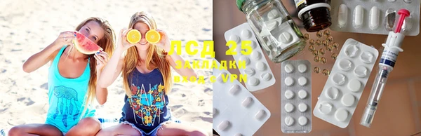 PSILOCYBIN Каменногорск
