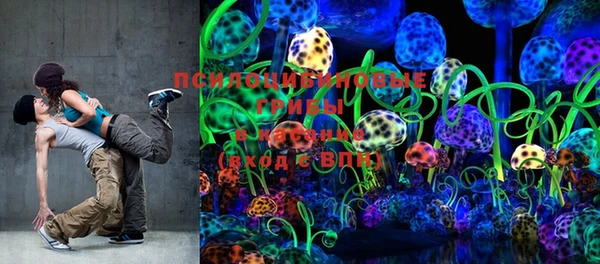 бутират Каменка