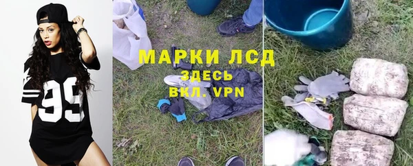 PSILOCYBIN Каменногорск